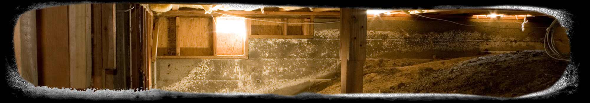 Bloom Crawl Space Services