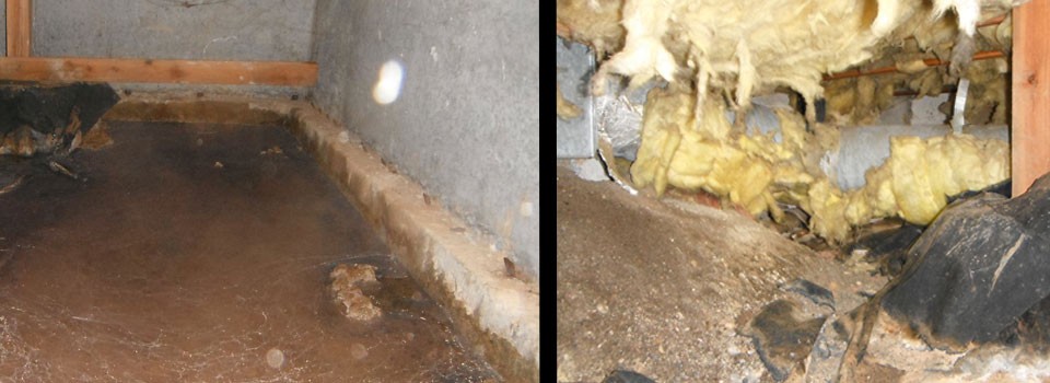 Flooded Crawlspace - Crawl Space Repair - Portland OR - Vancouver WA