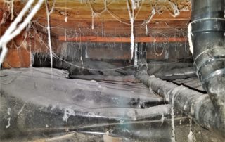 portland crawl spaces, crawl space restoration, portland oregon, oregon crawl space restoration