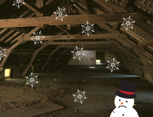 Attic Insulation