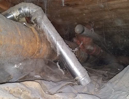Dryer Vents