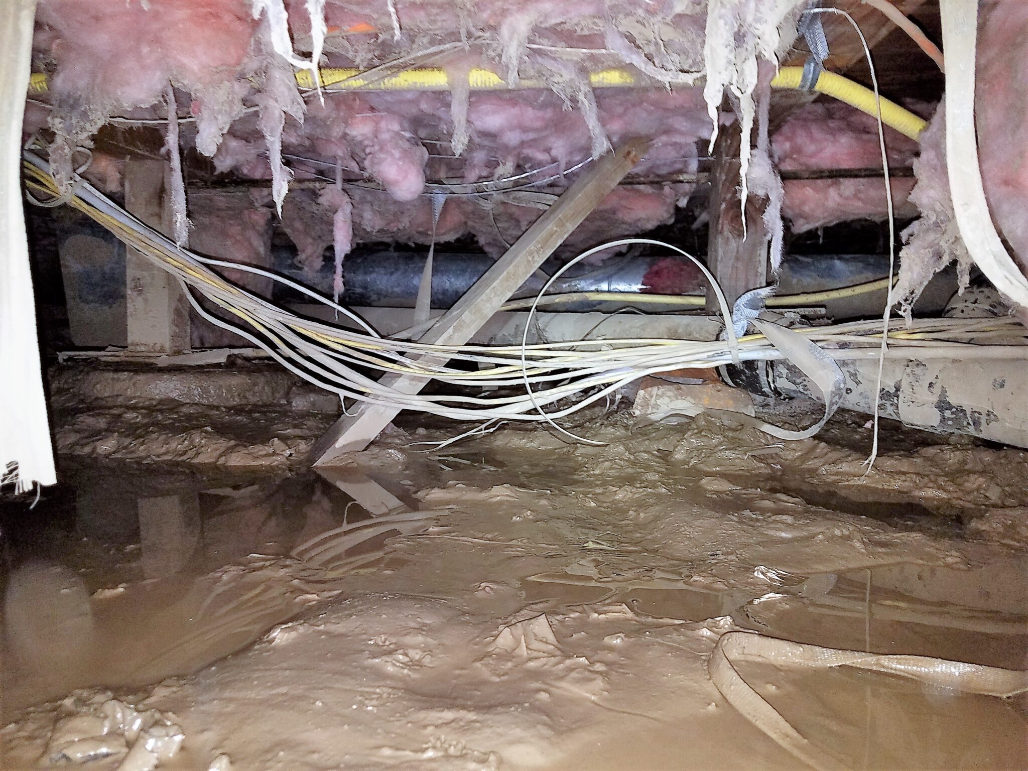 bloom crawl space services, bloom pest control, bloom home services