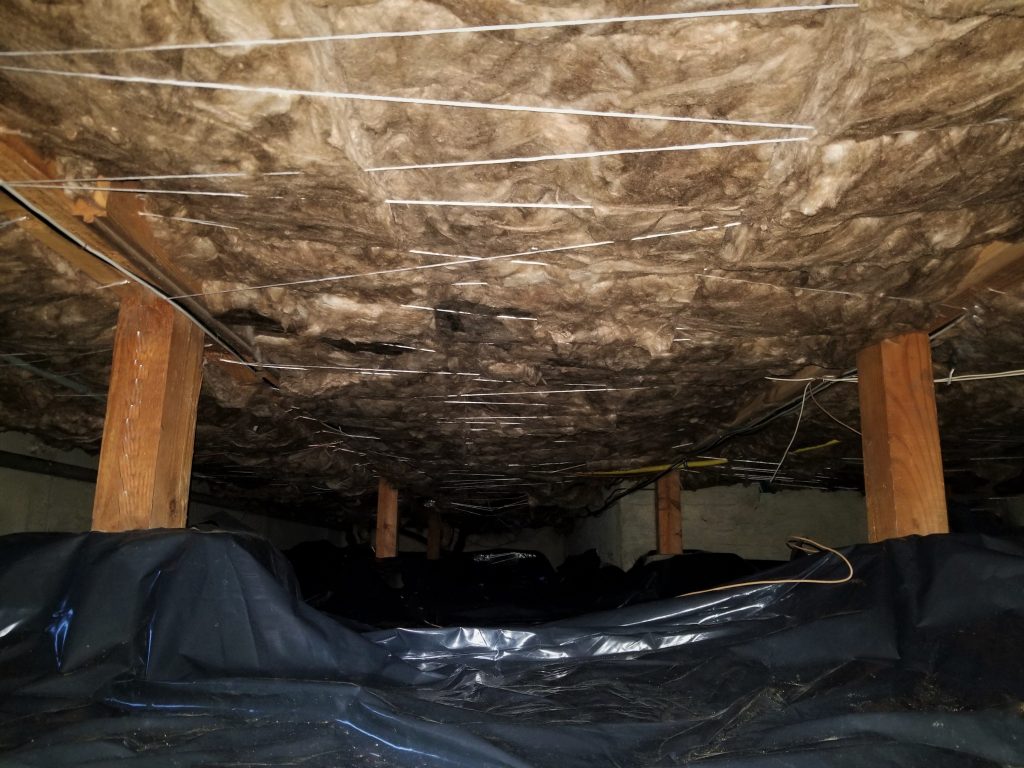 bloom crawl space services, bloom pest control, bloom home services